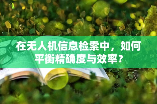 在无人机信息检索中，如何平衡精确度与效率？