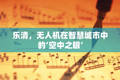 乐清，无人机在智慧城市中的‘空中之眼’