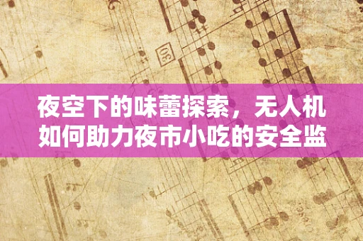 夜空下的味蕾探索，无人机如何助力夜市小吃的安全监控与高效配送？