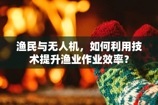 渔民与无人机，如何利用技术提升渔业作业效率？
