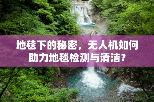 地毯下的秘密，无人机如何助力地毯检测与清洁？