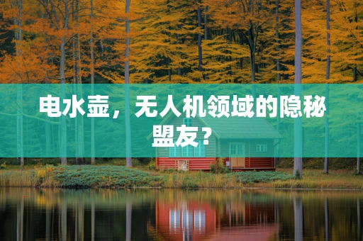 电水壶，无人机领域的隐秘盟友？