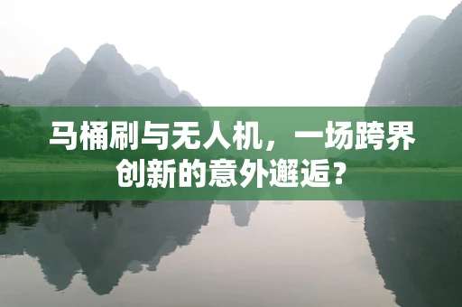 马桶刷与无人机，一场跨界创新的意外邂逅？