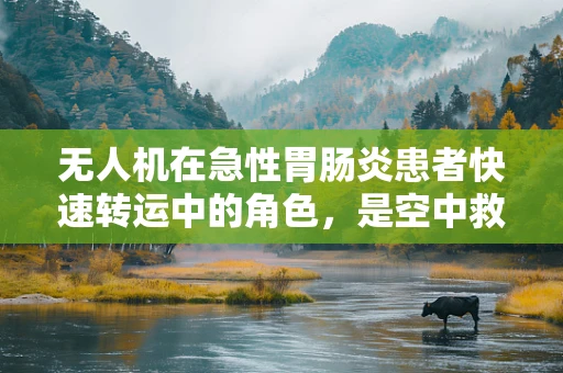 无人机在急性胃肠炎患者快速转运中的角色，是空中救护车还是空中挑战？