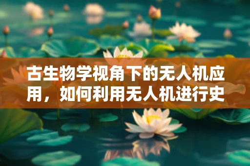 古生物学视角下的无人机应用，如何利用无人机进行史前遗址的空中勘探？