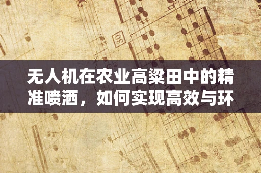 无人机在农业高粱田中的精准喷洒，如何实现高效与环保的平衡？