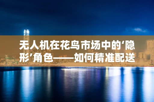 无人机在花鸟市场中的‘隐形’角色——如何精准配送，提升效率？