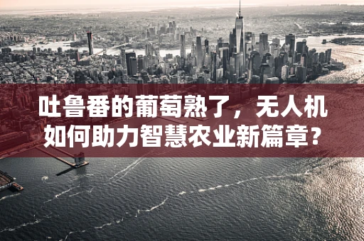 吐鲁番的葡萄熟了，无人机如何助力智慧农业新篇章？