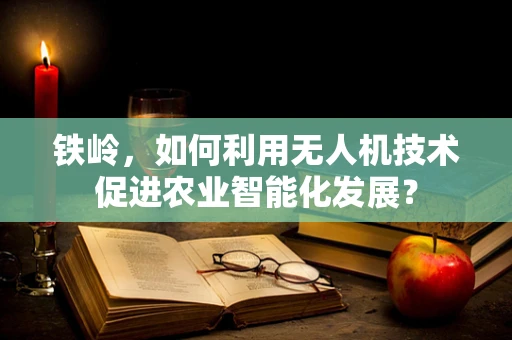 铁岭，如何利用无人机技术促进农业智能化发展？