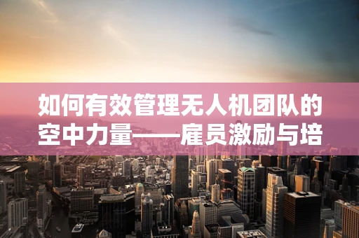 如何有效管理无人机团队的空中力量——雇员激励与培训