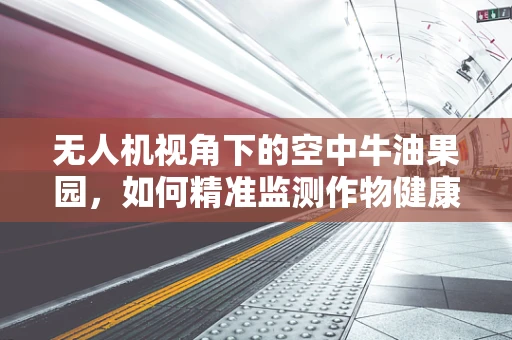 无人机视角下的空中牛油果园，如何精准监测作物健康？