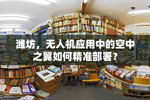 潍坊，无人机应用中的空中之翼如何精准部署？