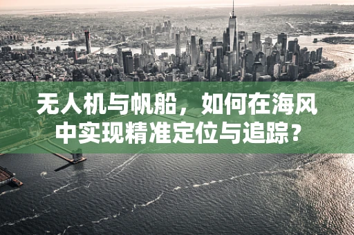 无人机与帆船，如何在海风中实现精准定位与追踪？