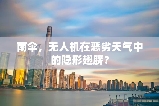 雨伞，无人机在恶劣天气中的隐形翅膀？