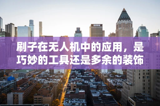 刷子在无人机中的应用，是巧妙的工具还是多余的装饰？