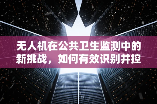 无人机在公共卫生监测中的新挑战，如何有效识别并控制伤寒与副伤寒的传播？