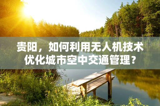 贵阳，如何利用无人机技术优化城市空中交通管理？