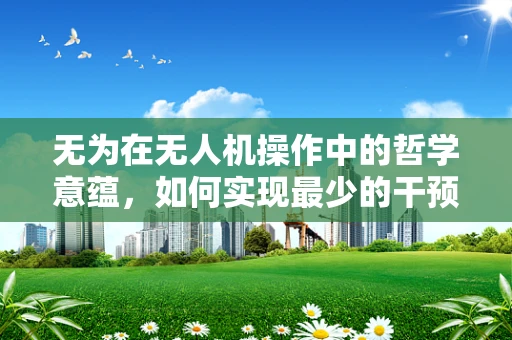 无为在无人机操作中的哲学意蕴，如何实现最少的干预，达到最佳效果？