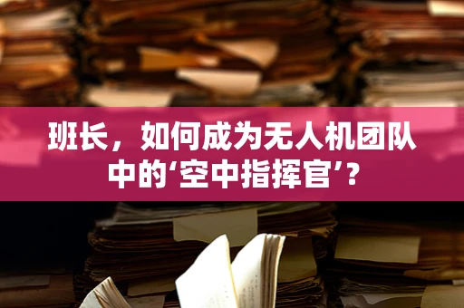 班长，如何成为无人机团队中的‘空中指挥官’？