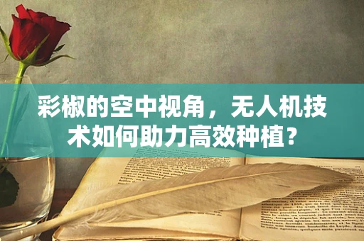 彩椒的空中视角，无人机技术如何助力高效种植？