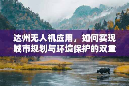 达州无人机应用，如何实现城市规划与环境保护的双重目标？