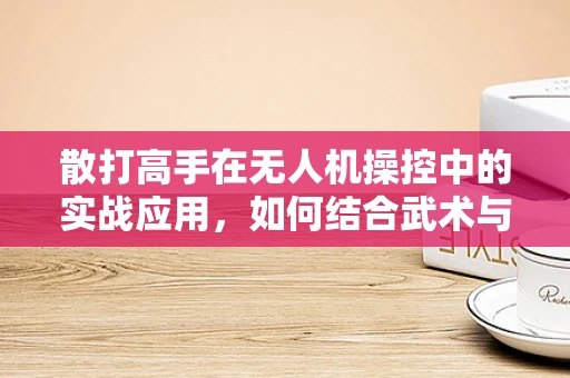 散打高手在无人机操控中的实战应用，如何结合武术与科技？