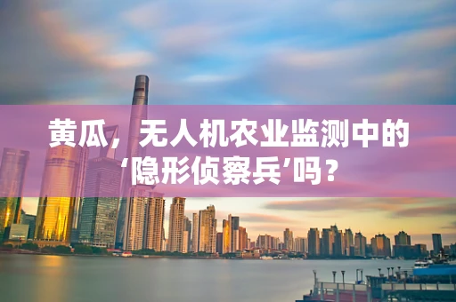 黄瓜，无人机农业监测中的‘隐形侦察兵’吗？