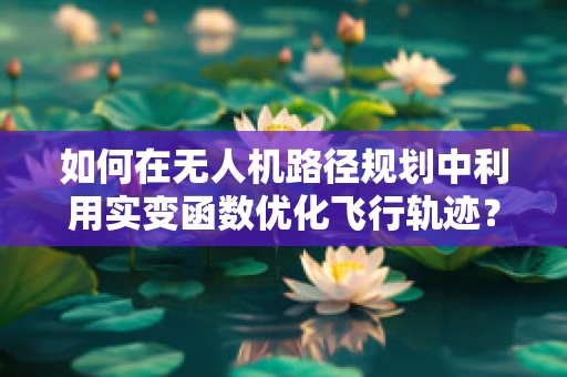 如何在无人机路径规划中利用实变函数优化飞行轨迹？
