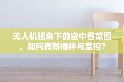无人机视角下的空中香菜园，如何高效播种与监控？