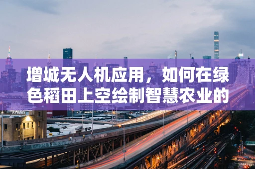 增城无人机应用，如何在绿色稻田上空绘制智慧农业的蓝图？