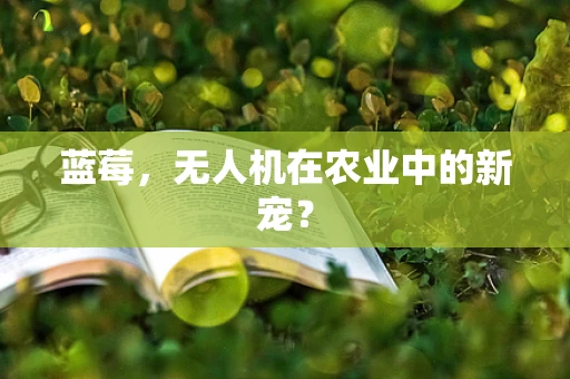 蓝莓，无人机在农业中的新宠？