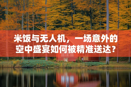 米饭与无人机，一场意外的空中盛宴如何被精准送达？