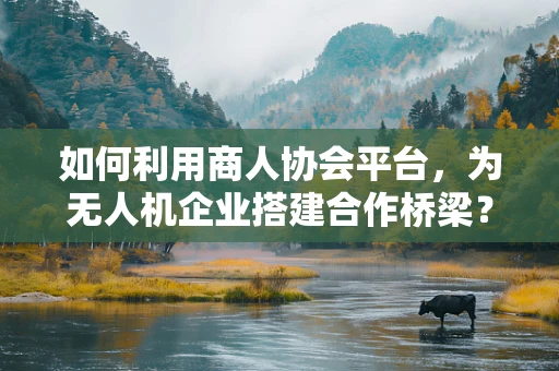 如何利用商人协会平台，为无人机企业搭建合作桥梁？