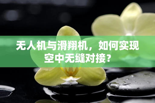 无人机与滑翔机，如何实现空中无缝对接？