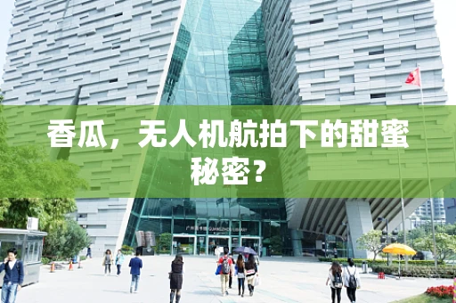 香瓜，无人机航拍下的甜蜜秘密？