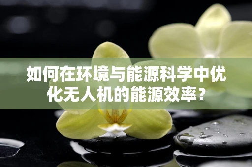 如何在环境与能源科学中优化无人机的能源效率？