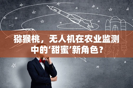 猕猴桃，无人机在农业监测中的‘甜蜜’新角色？