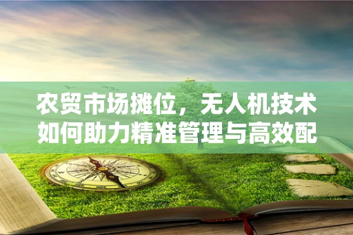农贸市场摊位，无人机技术如何助力精准管理与高效配送？