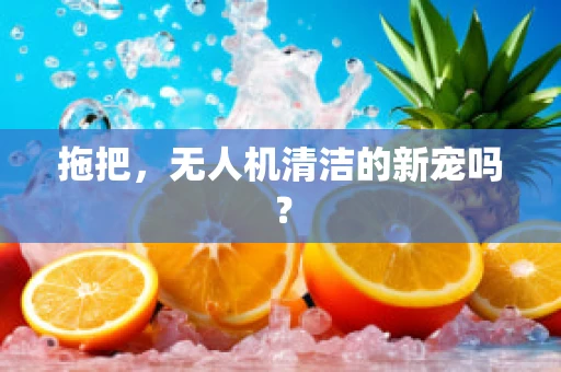拖把，无人机清洁的新宠吗？