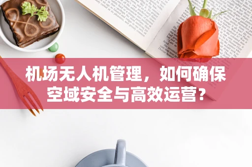 机场无人机管理，如何确保空域安全与高效运营？