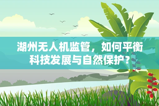 湖州无人机监管，如何平衡科技发展与自然保护？