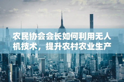 农民协会会长如何利用无人机技术，提升农村农业生产效率？