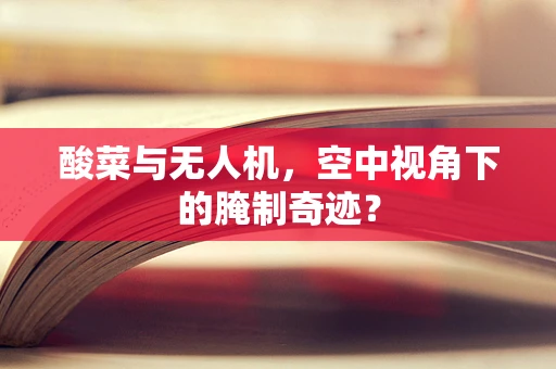 酸菜与无人机，空中视角下的腌制奇迹？