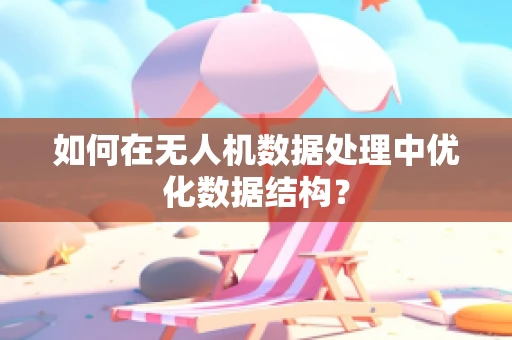 如何在无人机数据处理中优化数据结构？