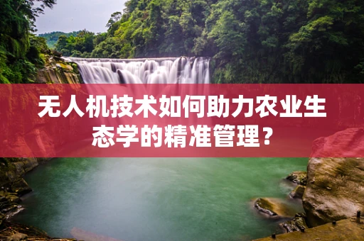 无人机技术如何助力农业生态学的精准管理？