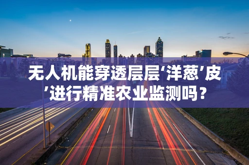 无人机能穿透层层‘洋葱’皮’进行精准农业监测吗？