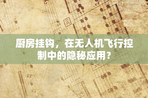 厨房挂钩，在无人机飞行控制中的隐秘应用？