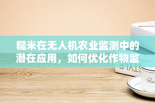 糙米在无人机农业监测中的潜在应用，如何优化作物监测的精准度？