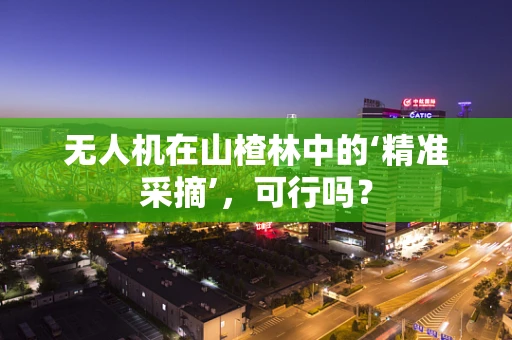 无人机在山楂林中的‘精准采摘’，可行吗？