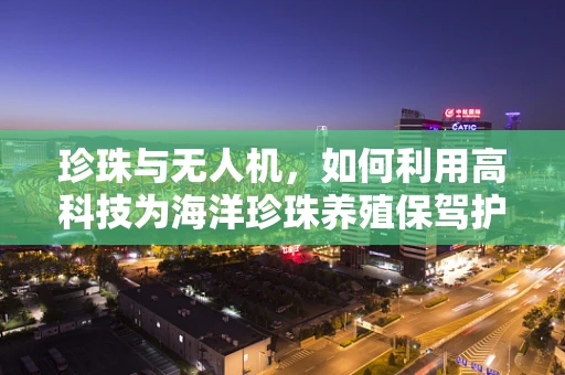珍珠与无人机，如何利用高科技为海洋珍珠养殖保驾护航？
